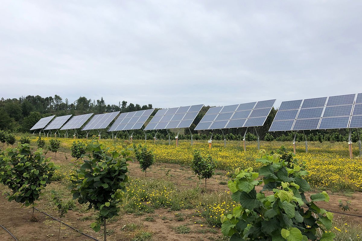 智利 50HP太阳能水泵系统